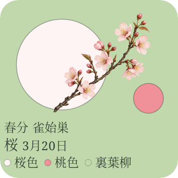 春の桜。淡いピンクと若葉色で飾る、ふたつの丸。