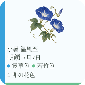 夏の朝顔。露草色の青と若竹色の緑を使った、色の縁。
