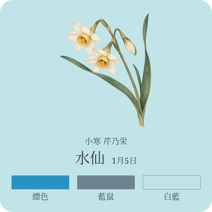 冬の水仙。縹色、藍鼠、淡い白藍の色見本を添えた、三色帖。